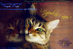 /netcat_files/85/103/h_f3929aa6fda6e10335e4bd6ce369d8f4